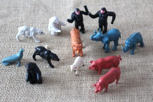 Noah and the Animals – Teach One Reach One