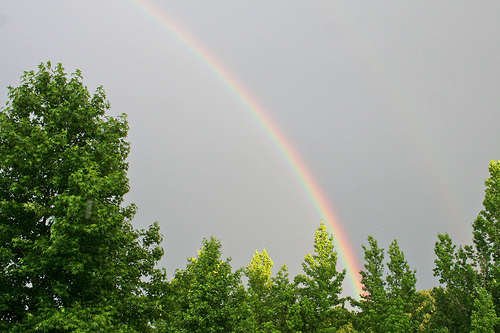 Stars, Rainbows, and God - Parenting Like Hannah