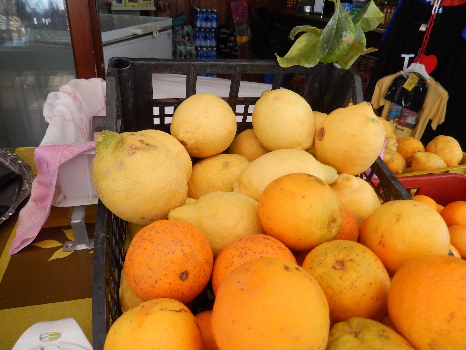 What Soil Are You Using To Grow Your Child's Faith? - Parenting Like Hannah