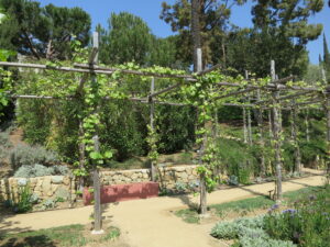 Kids, Jesus, and Growing Up - Parenting Like Hannah