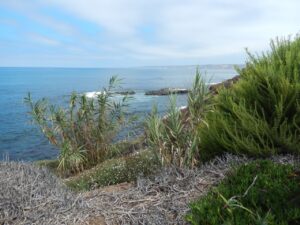 Rethinking Christian Parenting - Parenting Like Hannah