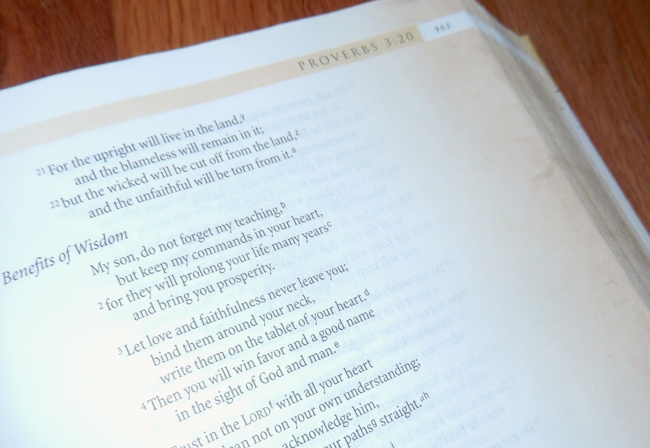Proverbs for Kids