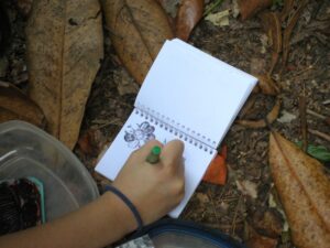 Developing Talents in Toddlers and Preschoolers - Parenting Like Hannah