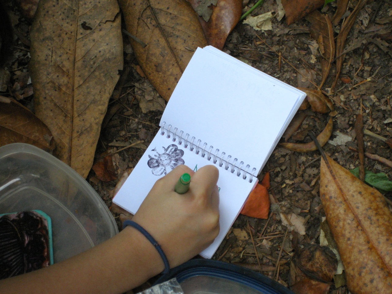 Developing Talents in Toddlers and Preschoolers - Parenting Like Hannah