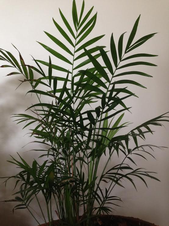 Parenting From Your Child's Point of View - Parenting Like Hannah