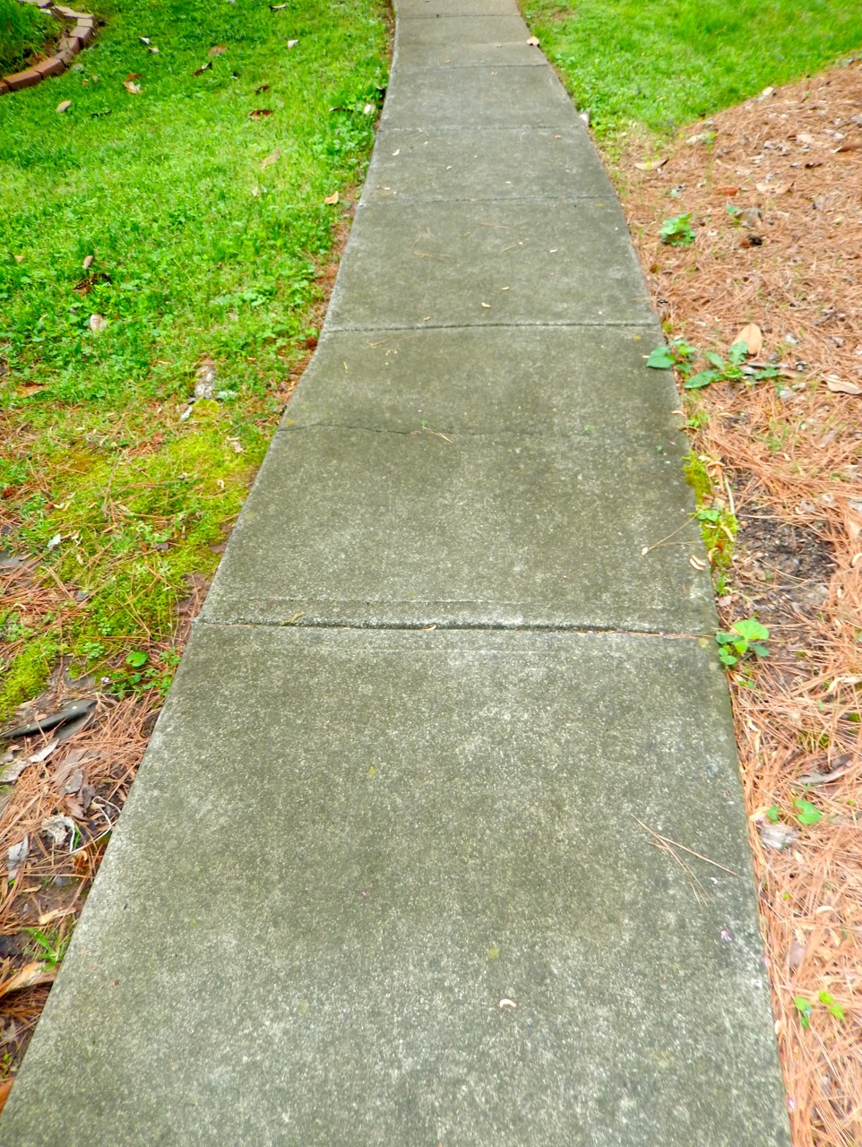 Teaching Christian Kids to Take the Easy Path