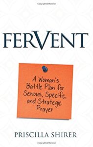 Wonderful Prayer Resource fro Moms - Parenting Like Hannah