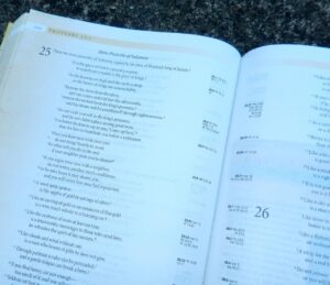 Introducing Kids to Proverbs - Parenting Like Hannah