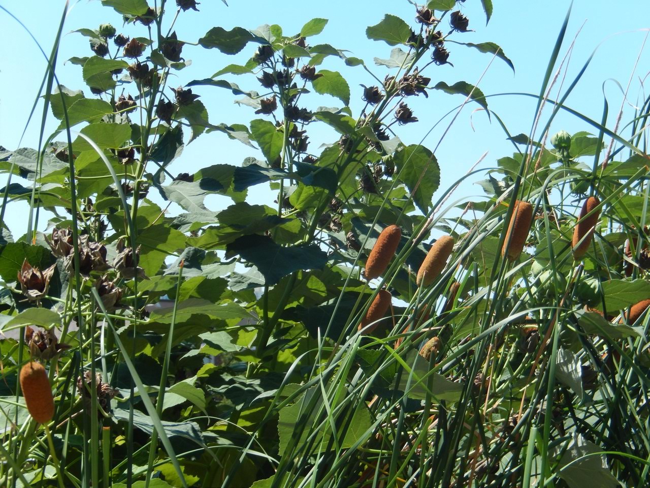 Teaching Kids to See God in Tough Times