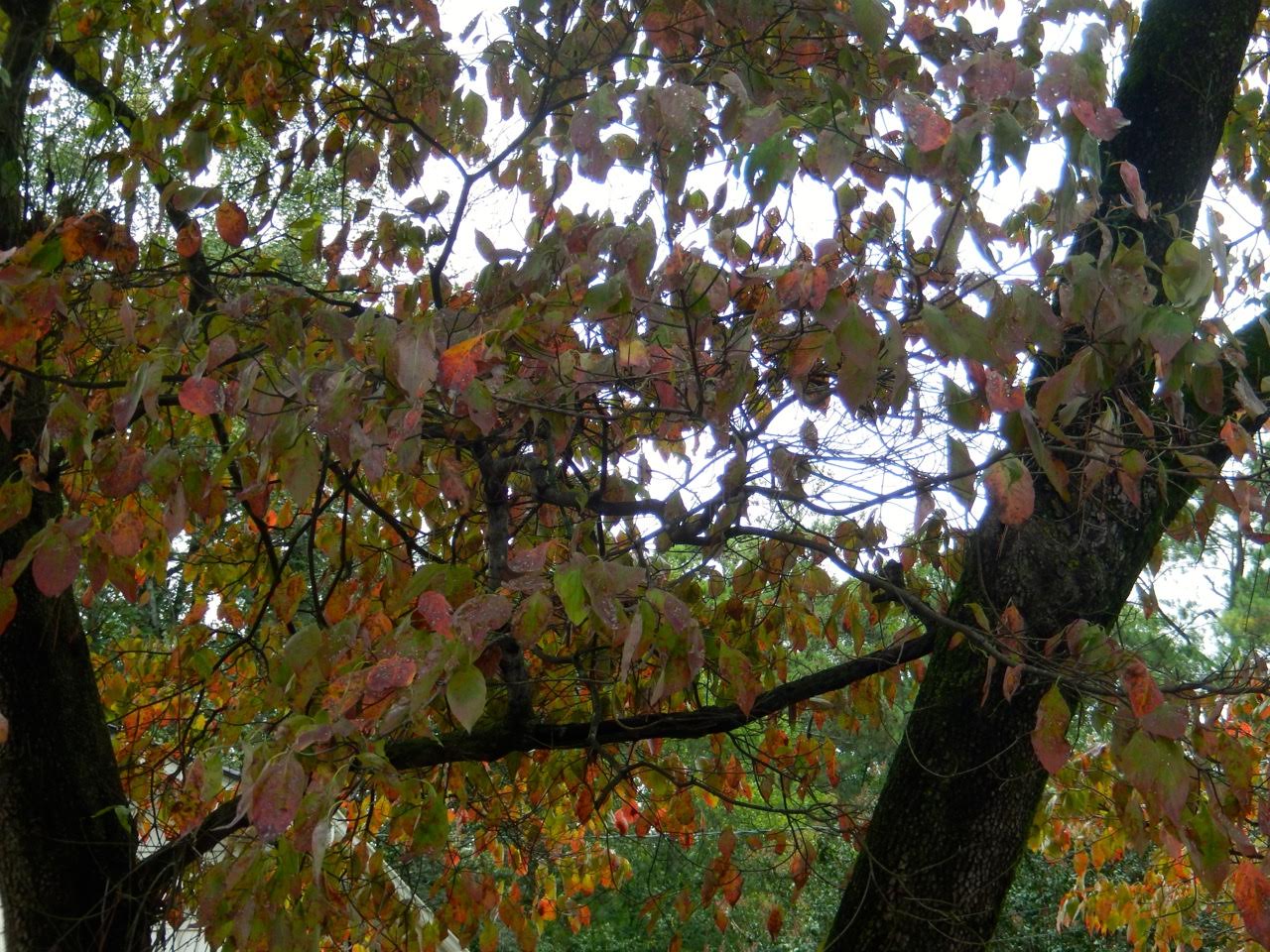 Teaching Kids About God's Seasons - Parenting Like Hannah