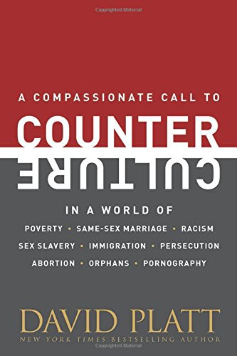 Must Read for Christian Teens (and Adults) - Parenting Like Hannah
