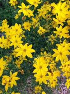 Kids, Spring and the Parables of Jesus - Parenting Like Hannah