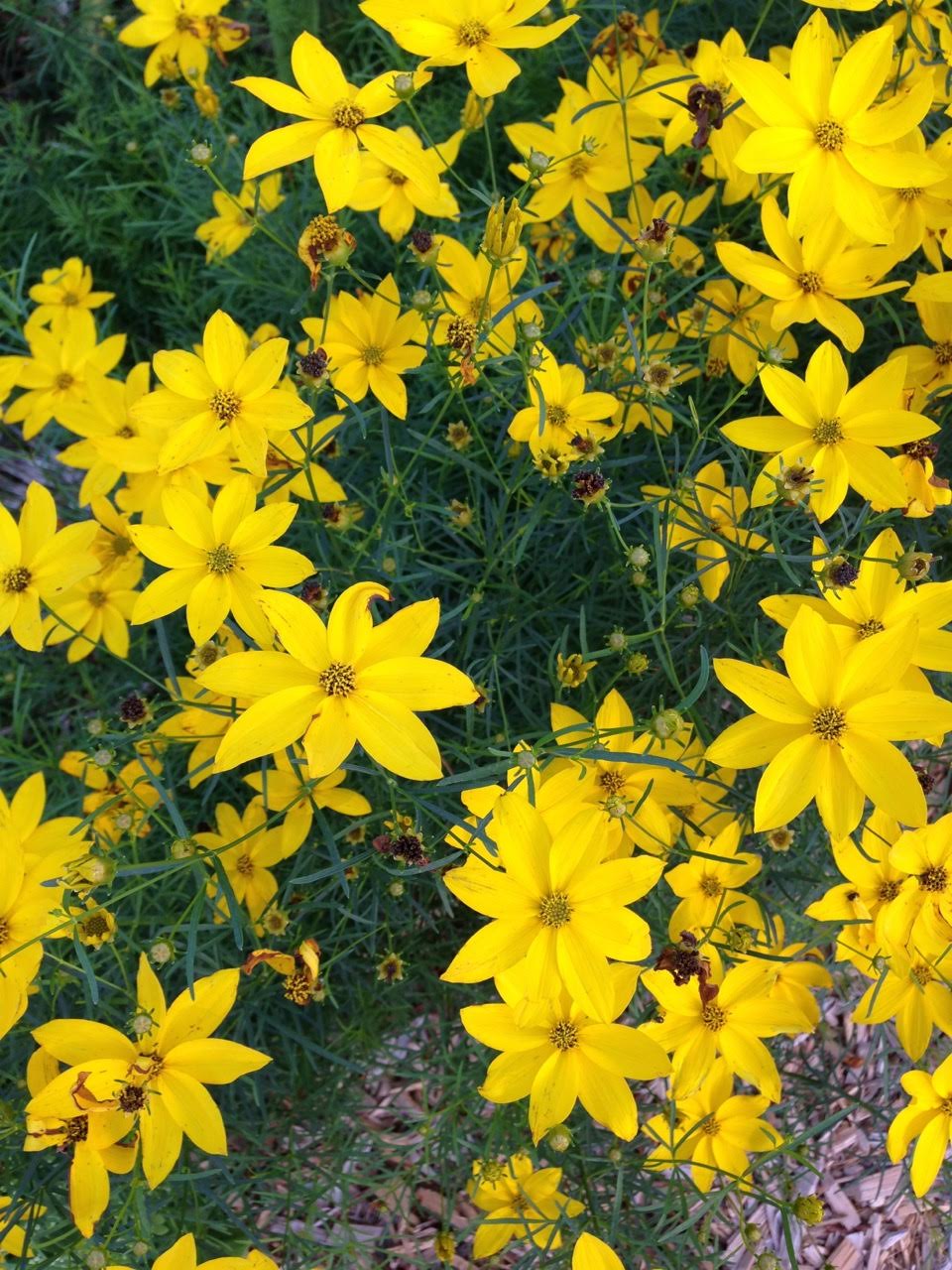 Kids, Spring and the Parables of Jesus