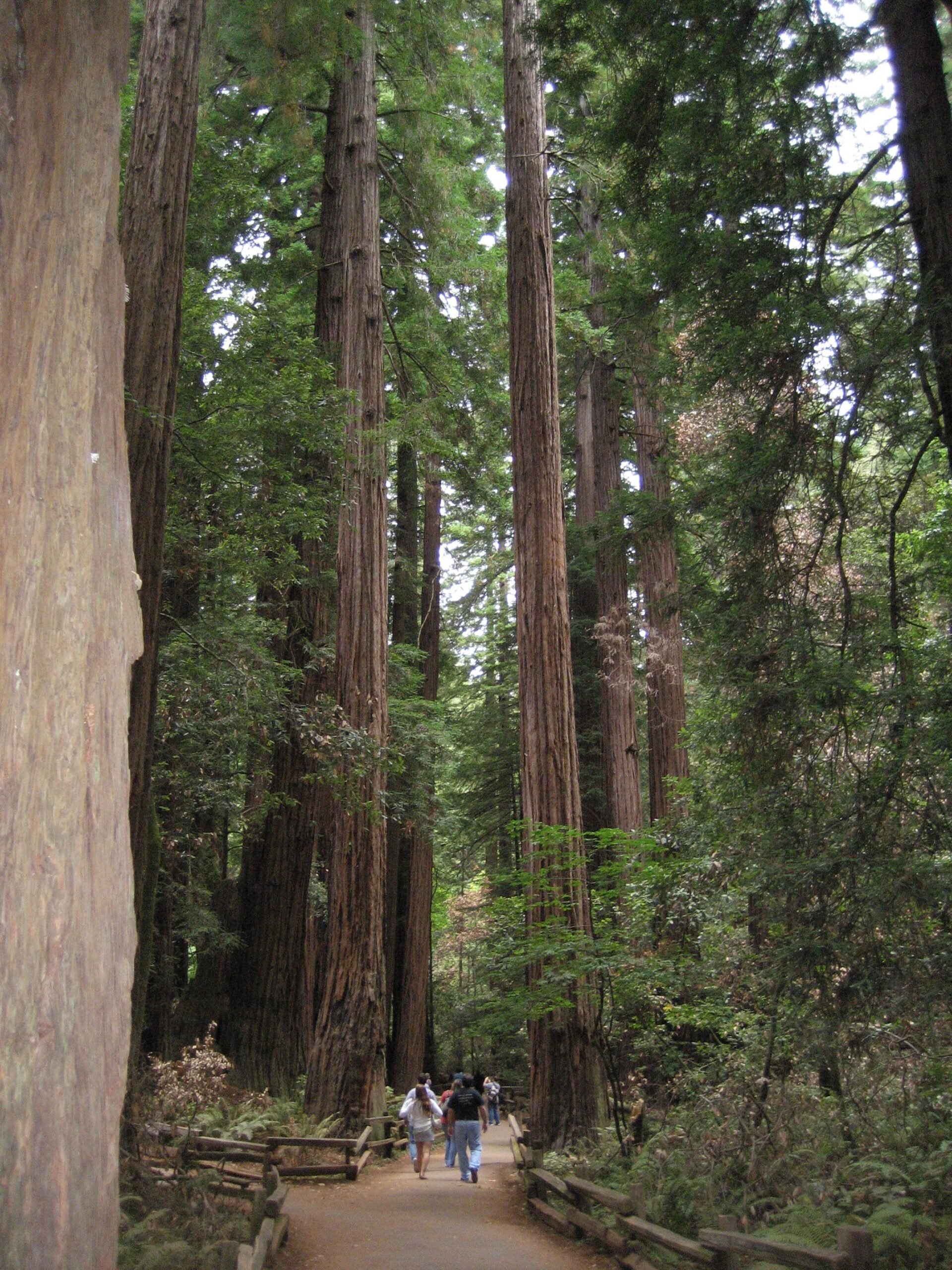 A Teen’s View of Christian Parenting