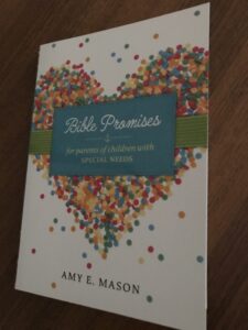 Great Devotional Resource for Parents of Children With Special Needs - Parenting Like Hannah