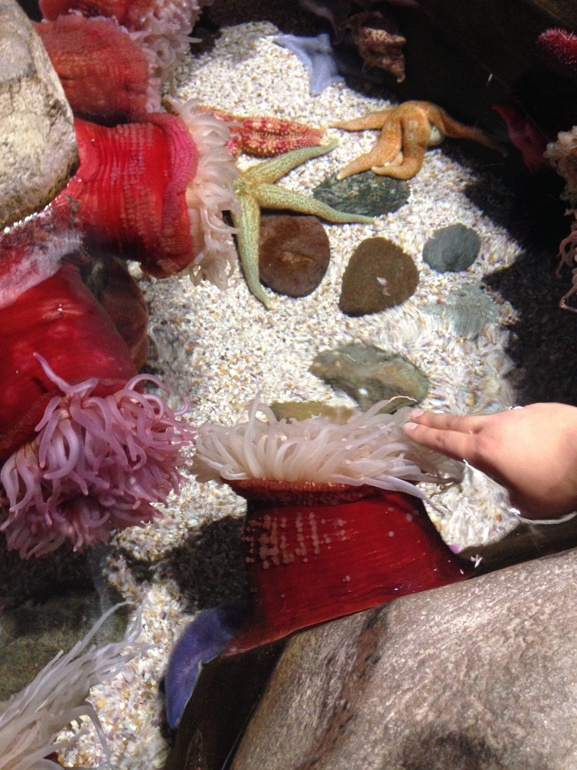 Tips For Teaching Your Child With Special Needs About God at Home