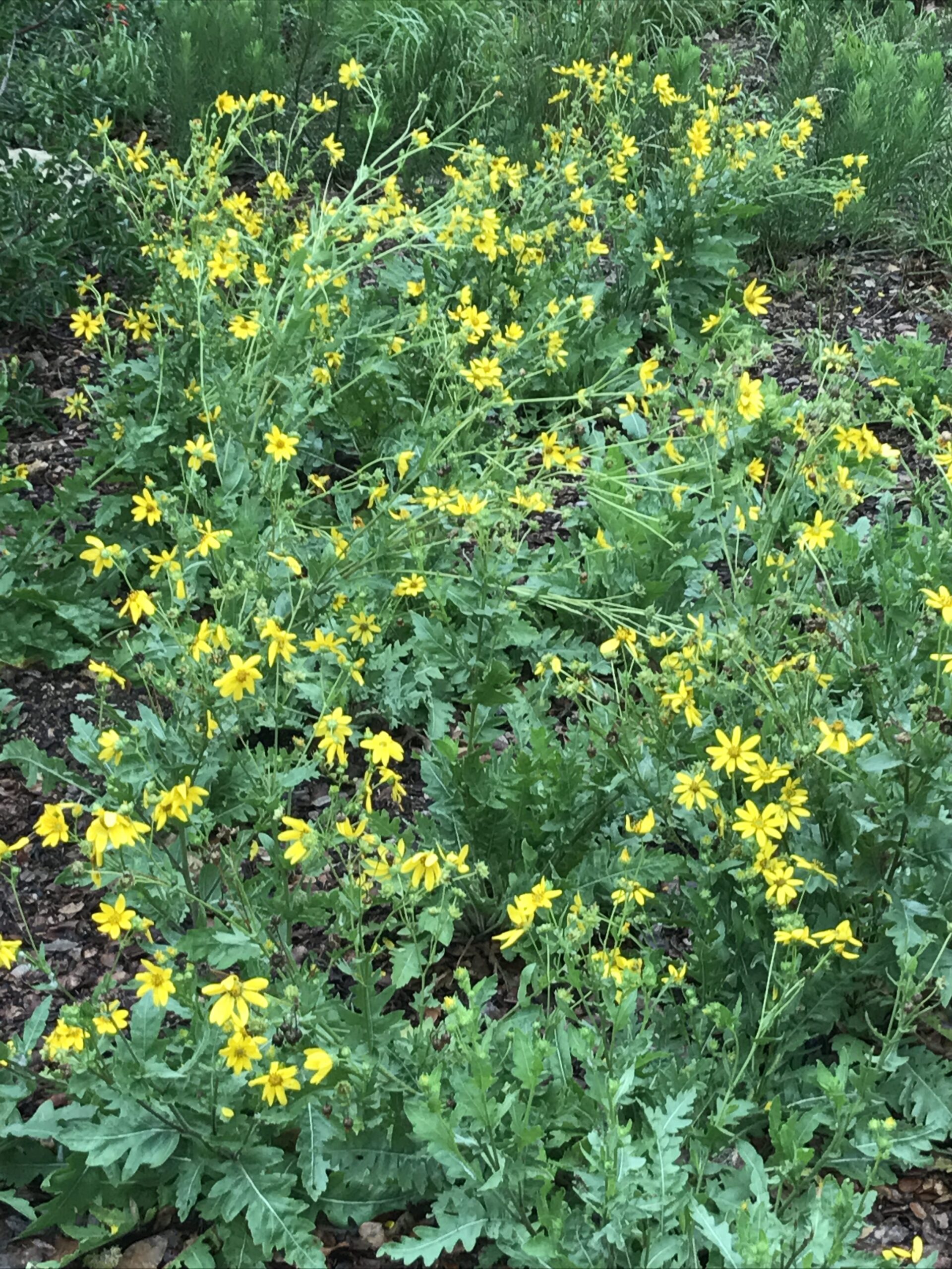 One Classroom Habit Bible Class Teachers for Kids Should Avoid