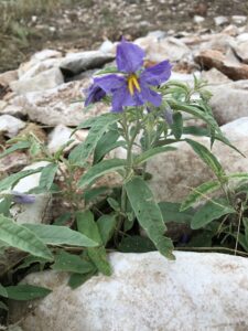 Fun Art Activity To Help Kids See God - Parenting Like Hannah