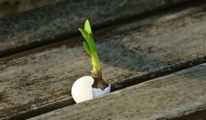 9 Tips for Raising Hope-Filled Kids - Parenting Like Hannah