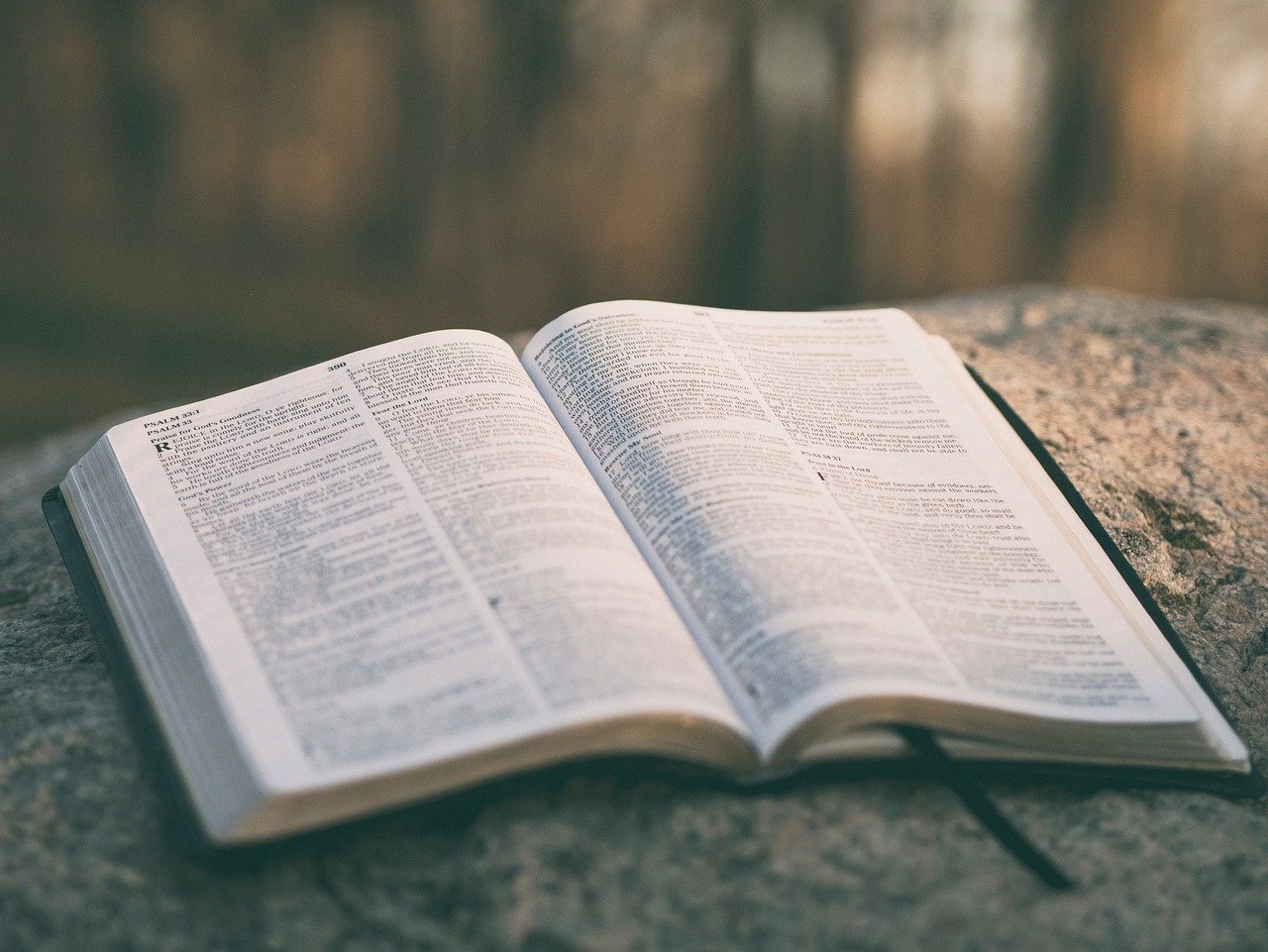 Top Tips for Encouraging Independent Bible Reading