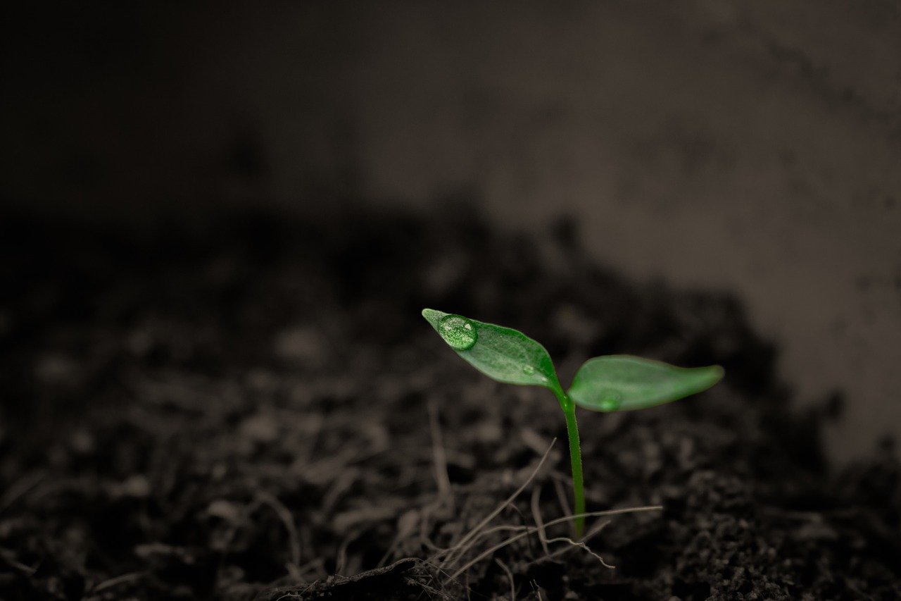 Ministry From a Growth Mindset