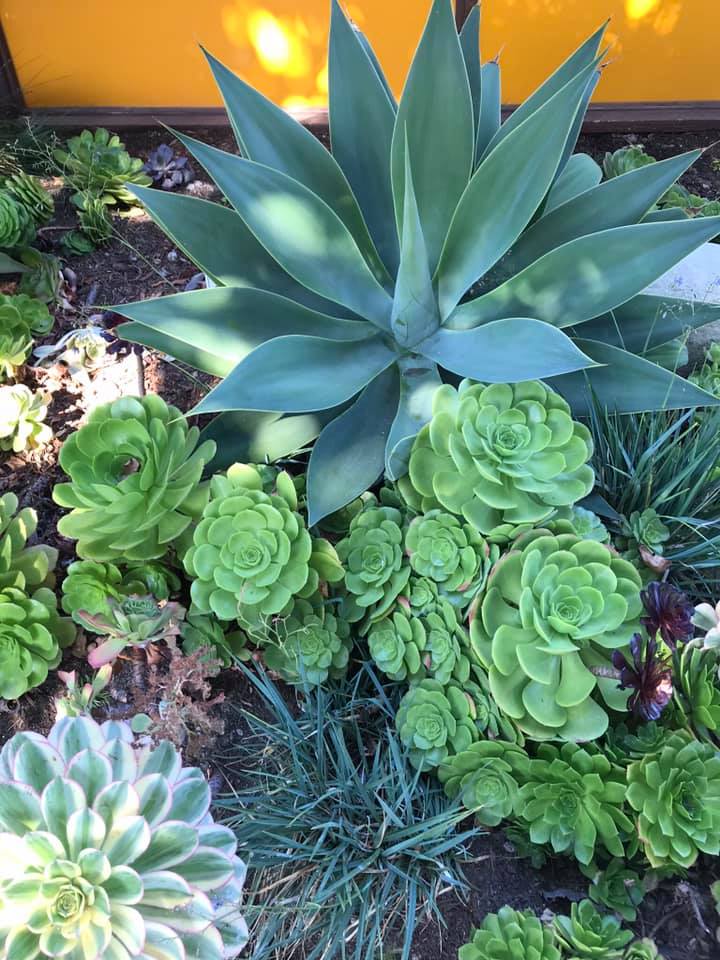 Weekly Christian Parenting Challenges #5