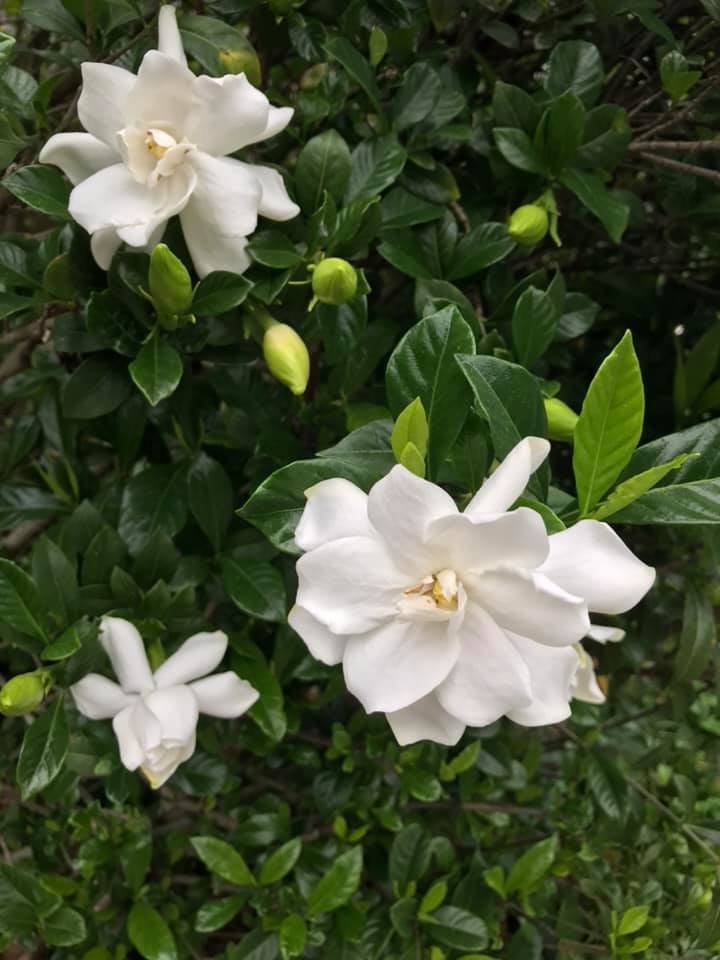 Weekly Christian Parenting Challenges #6