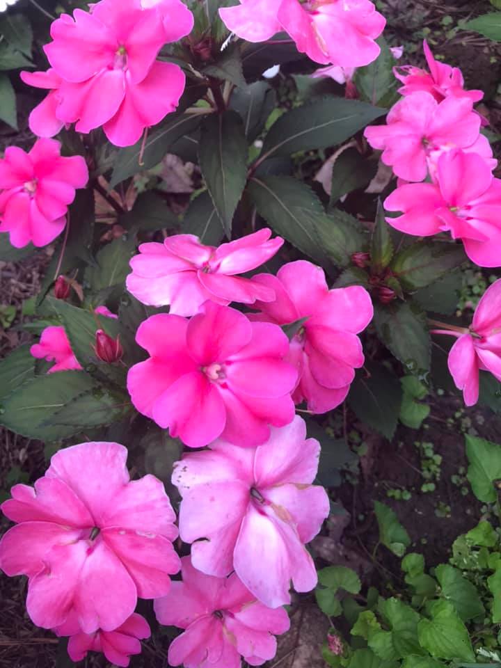 Weekly Christian Parenting Challenges #9