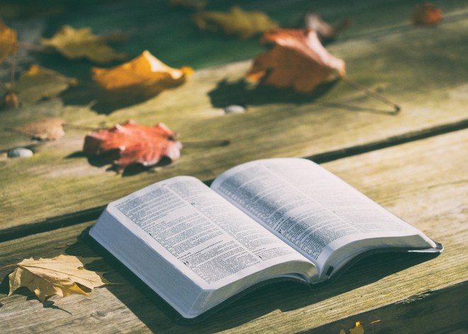 Choosing the Optimum Bible for Ministry Use (Children and Teens)